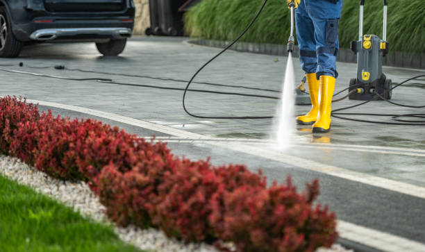 Best Roof Pressure Washing  in Hemlock Farms, PA
