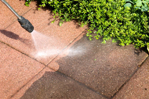 Deck Cleaning Services in Hemlock Farms, PA